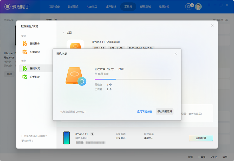查看恢复详情